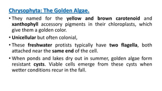 L8-BIOLOGY I-BIOL 231-Kingdom Protista.pdf