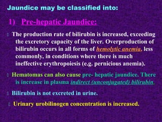 Comprehensive Overview of Liver Function Tests and Bilirubin Metabolism ...