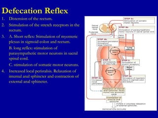 Anatomy of -The Large Intestine with all it's relations.ppt