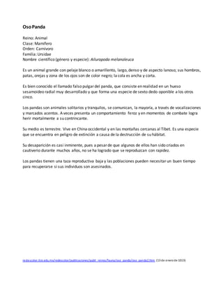 OsoPanda
Reino: Animal
Clase: Mamífero
Orden: Carnívoro
Familia: Ursidae
Nombre científico (género y especie): Ailuropoda melanoleuca
Es un animal grande con pelaje blanco o amarillento, largo, denso y de aspecto lanoso; sus hombros,
patas, orejas y zona de los ojos son de color negro; la cola es ancha y corta.
Es bien conocido el llamado falso pulgar del panda, que consiste en realidad en un hueso
sesamoideo radial muy desarrollado y que forma una especie de sexto dedo oponible a los otros
cinco.
Los pandas son animales solitarios y tranquilos, se comunican, la mayoría, a través de vocalizaciones
y marcados acentos. A veces presenta un comportamiento feroz y en momentos de combate logra
herir mortalmente a su contrincante.
Su medio es terrestre. Vive en China occidental y en las montañas cercanas al Tíbet. Es una especie
que se encuentra en peligro de extinción a causa de la destrucción de su hábitat.
Su desaparición es casi inminente, pues a pesar de que algunos de ellos han sido criados en
cautiverio durante muchos años, no se ha logrado que se reproduzcan con rapidez.
Los pandas tienen una taza reproductiva baja y las poblaciones pueden necesitar un buen tiempo
para recuperarse si sus individuos son asesinados.
redescolar.ilce.edu.mx/redescolar/publicaciones/publi_reinos/fauna/oso_panda/oso_panda2.htm (13 de enerode 1013)
 