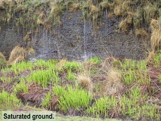 Saturated ground. 