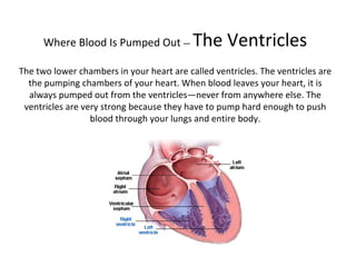 Where Blood Is Pumped Out  —  The Ventricles The two lower chambers in your heart are called ventricles. The ventricles are the pumping chambers of your heart. When blood leaves your heart, it is always pumped out from the ventricles—never from anywhere else. The ventricles are very strong because they have to pump hard enough to push blood through your lungs and entire body. 