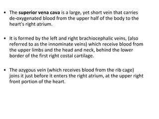 The  superior vena cava  is a large, yet short vein that carries de-oxygenated blood from the upper half of the body to the heart's right atrium. It is formed by the left and right brachiocephalic veins, (also referred to as the innominate veins) which receive blood from the upper limbs and the head and neck, behind the lower border of the first right costal cartilage.  The azygous vein (which receives blood from the rib cage) joins it just before it enters the right atrium, at the upper right front portion of the heart. 
