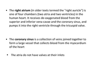 The  right atrium  (in older texts termed the "right auricle") is one of four chambers (two atria and two ventricles) in the human heart. It receives de-oxygenated blood from the superior and inferior vena cavae and the coronary sinus, and pumps it into the right ventricle through the tricuspid valve. The  coronary sinus  is a collection of veins joined together to form a large vessel that collects blood from the myocardium of the heart  The atria do not have valves at their inlets  