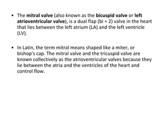 The  mitral valve  (also known as the  bicuspid valve  or  left atrioventricular valve ), is a dual flap (bi = 2) valve in the heart that lies between the left atrium (LA) and the left ventricle (LV).  In Latin, the term mitral means shaped like a miter, or bishop's cap. The mitral valve and the tricuspid valve are known collectively as the atrioventricular valves because they lie between the atria and the ventricles of the heart and control flow. 