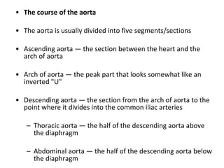 The course of the aorta The aorta is usually divided into five segments/sections  Ascending aorta — the section between the heart and the arch of aorta  Arch of aorta — the peak part that looks somewhat like an inverted "U"  Descending aorta — the section from the arch of aorta to the point where it divides into the common iliac arteries  Thoracic aorta — the half of the descending aorta above the diaphragm  Abdominal aorta — the half of the descending aorta below the diaphragm 