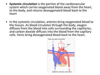 Systemic circulation  is the portion of the cardiovascular system which carries oxygenated blood away from the heart, to the body, and returns deoxygenated blood back to the heart In the systemic circulation, arteries bring oxygenated blood to the tissues. As blood circulates through the body, oxygen diffuses from the blood into cells surrounding the capillaries, and carbon dioxide diffuses into the blood from the capillary cells. Veins bring deoxygenated blood back to the heart.  