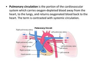 Pulmonary circulation  is the portion of the cardiovascular system which carries oxygen-depleted blood away from the heart, to the lungs, and returns oxygenated blood back to the heart. The term is contrasted with systemic circulation.  