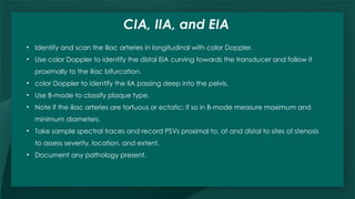 Iia Sample L8 lower Limb arterial.pptx slides ultrasound | PPTX