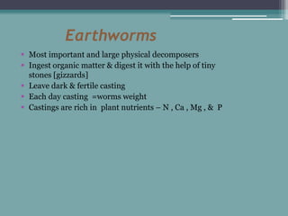 Earthworms
 Most important and large physical decomposers
 Ingest organic matter & digest it with the help of tiny
stones [gizzards]
 Leave dark & fertile casting
 Each day casting =worms weight
 Castings are rich in plant nutrients – N , Ca , Mg , & P
 