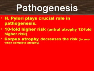 Pathogenesis
• H. Pylori plays crucial role in
pathogenesis.
• 10-fold higher risk (antral atrophy 12-fold
higher risk)
• Corpus atrophy decreases the risk
when complete atrophy)

(to zero

 