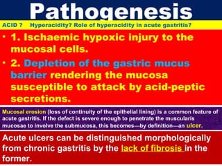 ACID ?

Pathogenesis
Hyperacidity? Role of hyperacidity in acute gastritis?

• 1. Ischaemic hypoxic injury to the
mucosal cells.
• 2. Depletion of the gastric mucus
barrier rendering the mucosa
susceptible to attack by acid-peptic
secretions.
Mucosal erosion (loss of continuity of the epithelial lining) is a common feature of
acute gastritis. If the defect is severe enough to penetrate the muscularis
mucosae to involve the submucosa, this becomes—by definition—an ulcer.

Acute ulcers can be distinguished morphologically
from chronic gastritis by the lack of fibrosis in the
former.

 