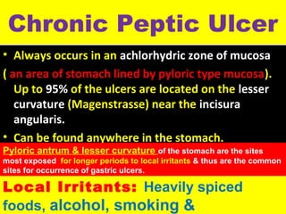 Chronic Peptic Ulcer
• Always occurs in an achlorhydric zone of mucosa
( an area of stomach lined by pyloric type mucosa).
Up to 95% of the ulcers are located on the lesser
curvature (Magenstrasse) near the incisura
angularis.
• Can be found anywhere in the stomach.

Pyloric antrum & lesser curvature of the stomach are the sites

most exposed for longer periods to local irritants & thus are the common
sites for occurrence of gastric ulcers.

Local Irritants: Heavily spiced
foods, alcohol, smoking &

 