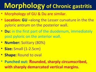 Morphology of Chronic gastritis
• Morphology of GU & Du are similar.
• Location: GU –along the Lesser curvature in the the
pyloric antrum on the posterior wall.
• Du: in the first part of the duodenum, immediately
post pyloric on the anterior wall.
• Number: Solitary (80%)
• Size: Small (1-2.5cm)
• Shape: Round to oval
• Punched out: Rounded, sharply circumscribed,
with sharply demarcated vertical margins.

 