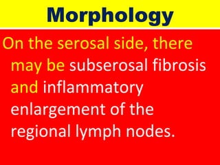 Morphology
On the serosal side, there
may be subserosal fibrosis
and inflammatory
enlargement of the
regional lymph nodes.

 