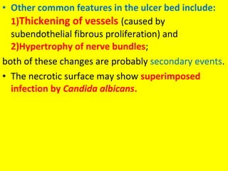 • Other common features in the ulcer bed include:
1)Thickening of vessels (caused by
subendothelial fibrous proliferation) and
2)Hypertrophy of nerve bundles;
both of these changes are probably secondary events.
• The necrotic surface may show superimposed
infection by Candida albicans.

 