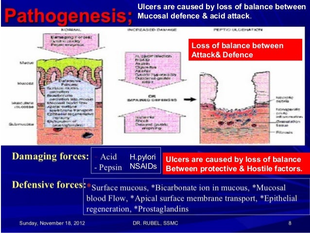 High Protein Food Peptic Ulcer High Protein Food Peptic Ulcer