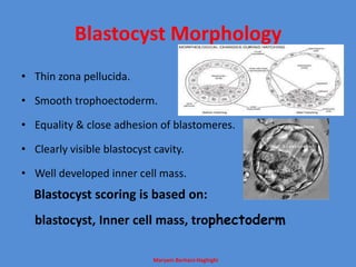 Maryam Borhani-Haghighi
Blastocyst Morphology
• Thin zona pellucida.
• Smooth trophoectoderm.
• Equality & close adhesion of blastomeres.
• Clearly visible blastocyst cavity.
• Well developed inner cell mass.
Blastocyst scoring is based on:
blastocyst, Inner cell mass, trophectoderm
 