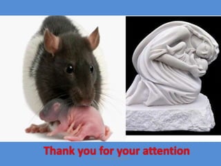 Thank you for your
attention
Thank you for your attentionMaryam Borhani-Haghighi
 