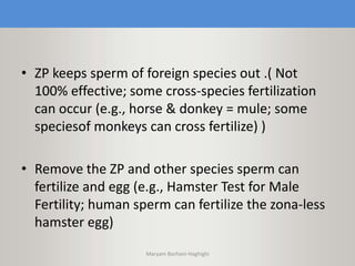 • ZP keeps sperm of foreign species out .( Not
100% effective; some cross-species fertilization
can occur (e.g., horse & donkey = mule; some
speciesof monkeys can cross fertilize) )
• Remove the ZP and other species sperm can
fertilize and egg (e.g., Hamster Test for Male
Fertility; human sperm can fertilize the zona-less
hamster egg)
Maryam Borhani-Haghighi
 