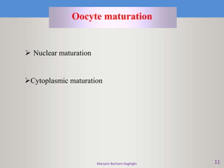 Maryam Borhani-Haghighi 11
Oocyte maturation
 Nuclear maturation
Cytoplasmic maturation
 