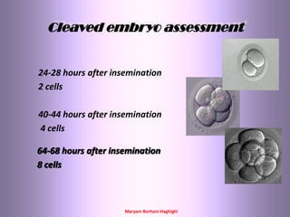 Maryam Borhani-Haghighi
Cleaved embryo assessment
24-28 hours after insemination
2 cells
40-44 hours after insemination
4 cells
64-68 hours after insemination
8 cells
 