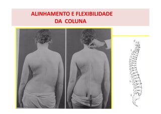 ALINHAMENTO E FLEXIBILIDADE
DA COLUNA
 