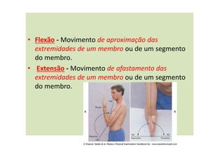Termos Ortopédicos Comuns
• Flexão - Movimento de aproximação das
extremidades de um membro ou de um segmento
do membro.
• Extensão - Movimento de afastamento das
extremidades de um membro ou de um segmento
do membro.
 
