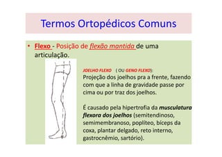 Termos Ortopédicos Comuns
• Flexo - Posição de flexão mantida de uma
articulação.
JOELHO FLEXO ( OU GENO FLEXO):
Projeção dos joelhos pra a frente, fazendo
com que a linha de gravidade passe por
cima ou por traz dos joelhos.
É causado pela hipertrofia da musculatura
flexora dos joelhos (semitendinoso,
semimembranoso, poplíteo, bíceps da
coxa, plantar delgado, reto interno,
gastrocnêmio, sartório).
 