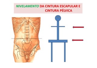 NIVELAMENTO DA CINTURA ESCAPULAR E
CINTURA PÉLVICA
 