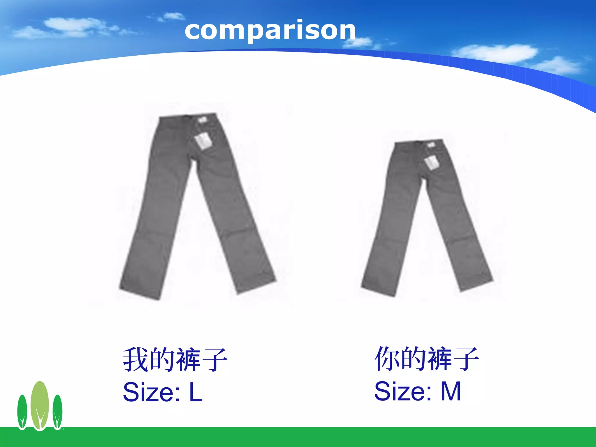comparison




我的裤子             你的裤子
Size: L          Size: M
 