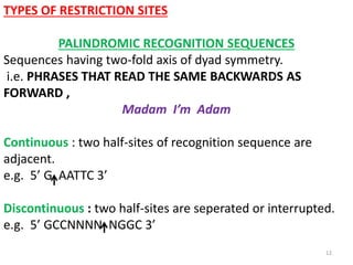 L9. restriction endonucleases | PPTX