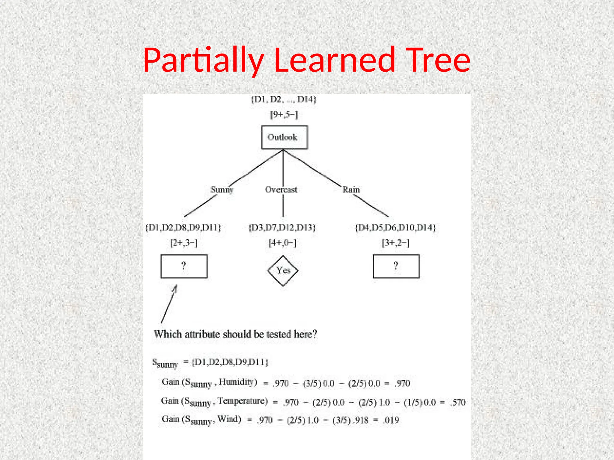 Partially Learned Tree
 