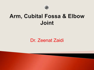 Dr. Zeenat Zaidi
 