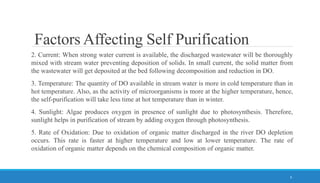 Self Purification L9- SELF PURITIFCATION OF STREAMS.pptx