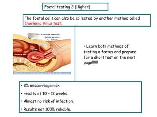 L9 Testing Foetus | PPT