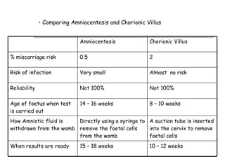 L9 Testing Foetus | PPT