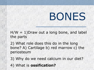 BONES H/W = 1)Draw out a long bone, and label the parts  2) What role does this do in the long bone? A) Cartilage b) red marrow c) the periosteum 3) Why do we need calcium in our diet? 4) What is  ossification?  