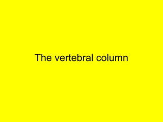 The vertebral column 
