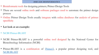 understanding the Human DNA components using prime decomposition | PPTX