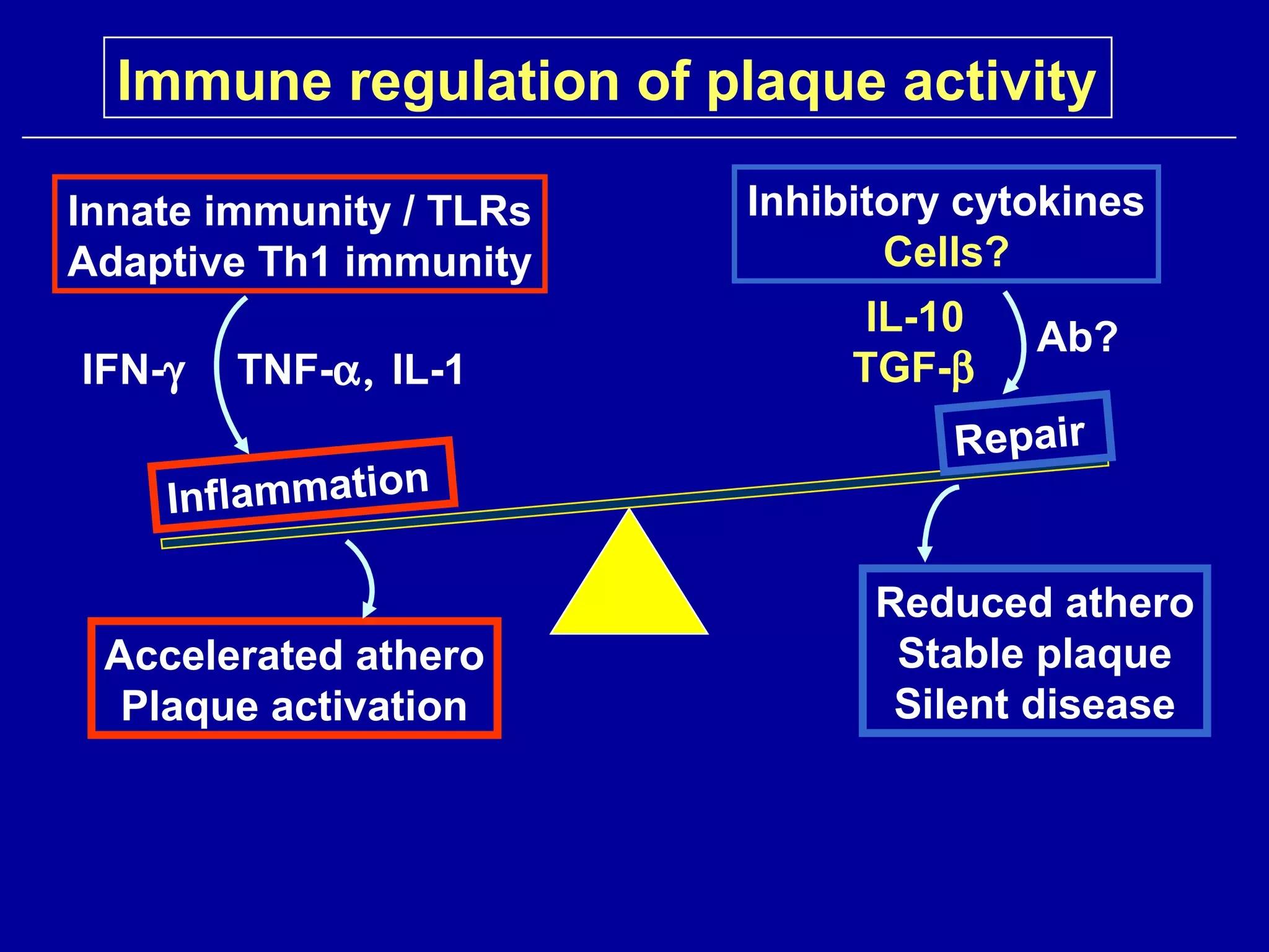 Inflammation
Repair
Innate immunity / TLRs
Adaptive Th1 immunity
IFN-γ TNF-α, IL-1
Inhibitory cytokines
Cells?
IL-10
TGF-β
Ab?
Accelerated athero
Plaque activation
Reduced athero
Stable plaque
Silent disease
Immune regulation of plaque activity
 