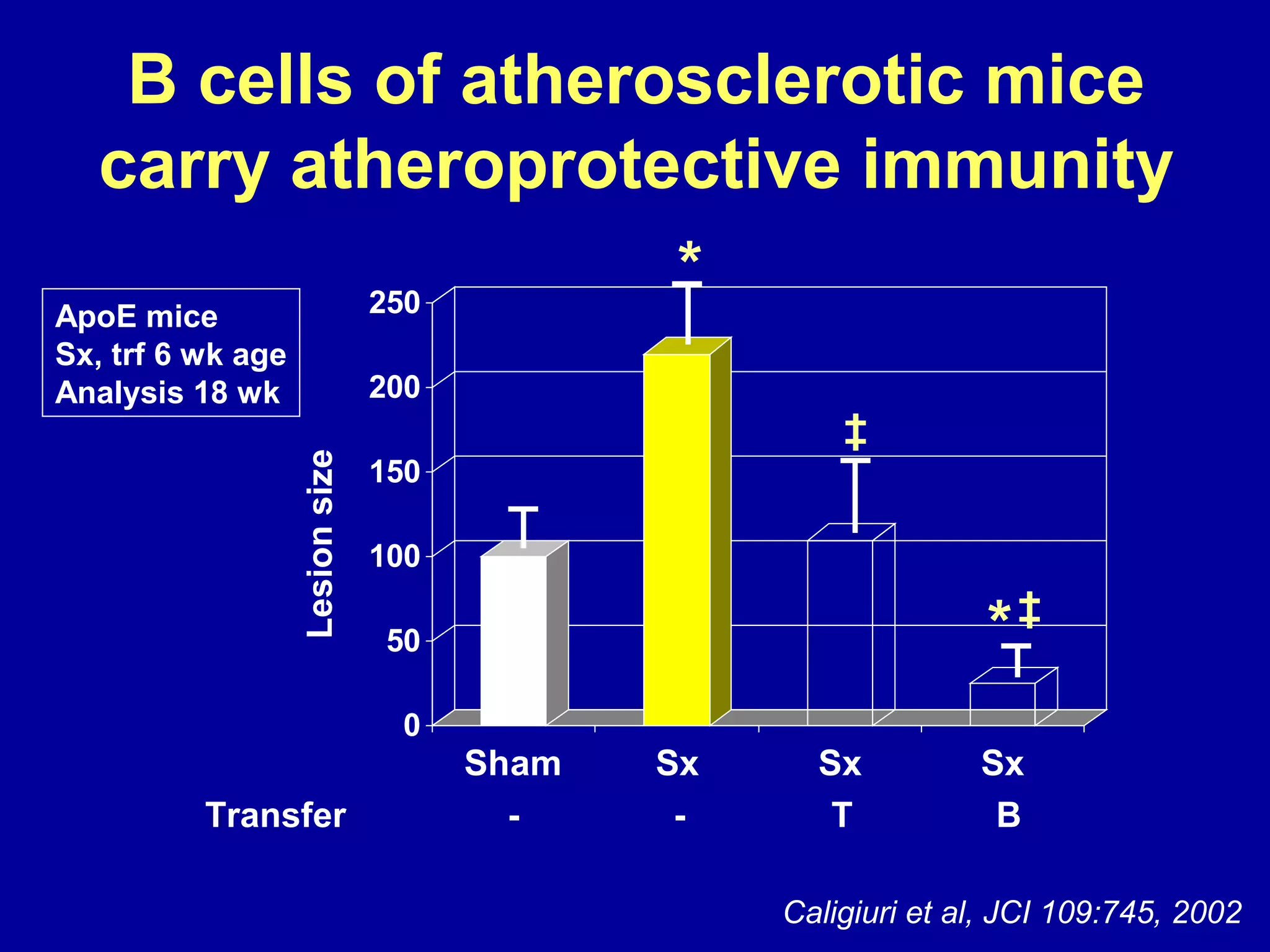 B cells of atherosclerotic mice
carry atheroprotective immunity
0
50
100
150
200
250
Sham Sx Sx Sx
Transfer - - T B
*
*
‡
‡
Lesionsize
Caligiuri et al, JCI 109:745, 2002
ApoE mice
Sx, trf 6 wk age
Analysis 18 wk
 