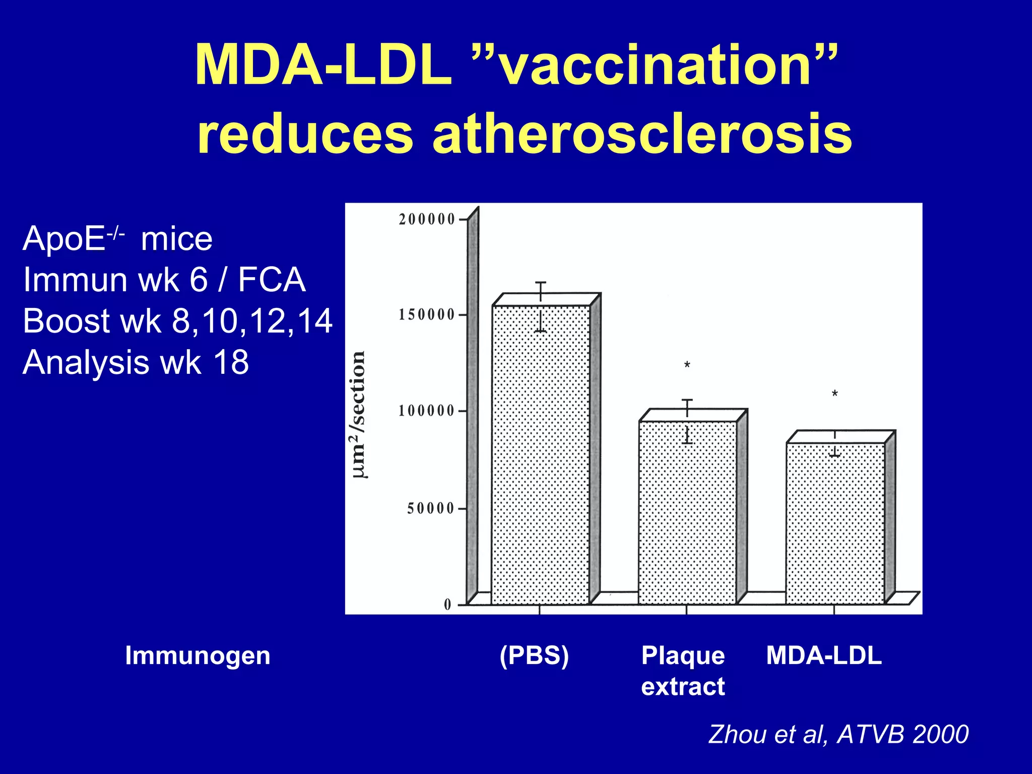 MDA-LDL ”vaccination”
reduces atherosclerosis
Immunogen (PBS) Plaque MDA-LDL
extract
ApoE-/-
mice
Immun wk 6 / FCA
Boost wk 8,10,12,14
Analysis wk 18
Zhou et al, ATVB 2000
 