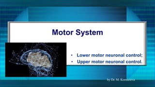 Motor System
• Lower motor neuronal control;
• Upper motor neuronal control.
by Dr. M. Kornieieva
 