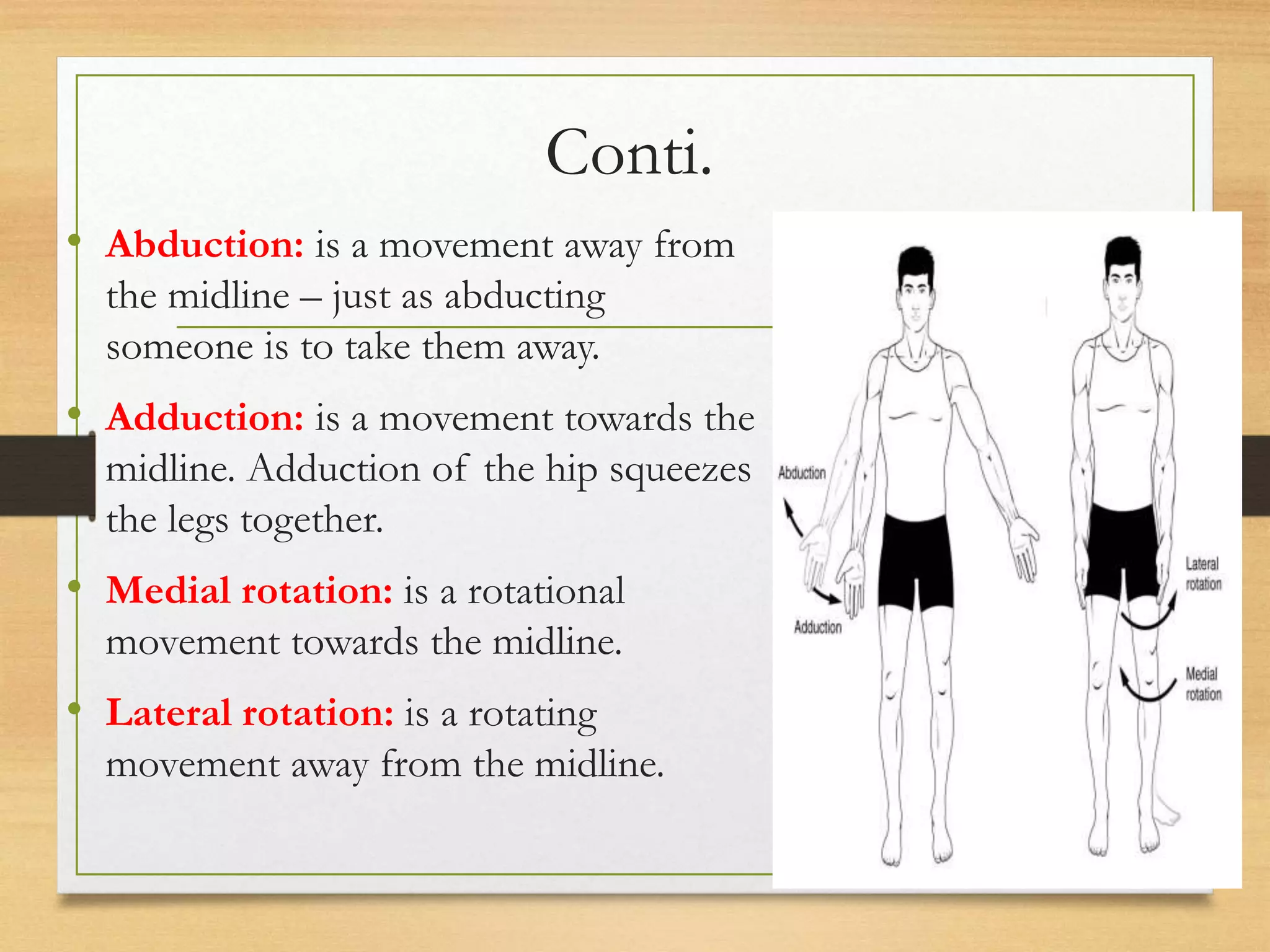 L9 muscles of upper limb [Autosaved].pptx