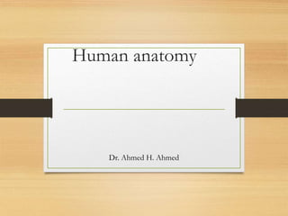 Human anatomy
Dr. Ahmed H. Ahmed
 