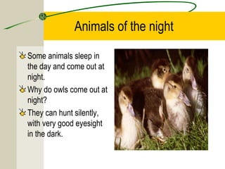 Lesson 9 animal survival