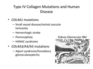 Ecm | PPT