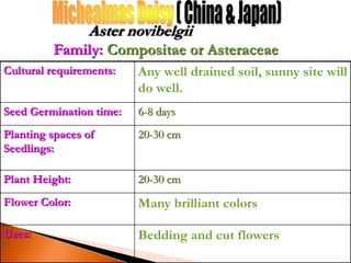 Cultural requirements: Any well drained soil, sunny site will
do well.
Seed Germination time: 6-8 days
Planting spaces of
Seedlings:
20-30 cm
Plant Height: 20-30 cm
Flower Color: Many brilliant colors
Uses: Bedding and cut flowers
Aster novibelgii
Family: Compositae or Asteraceae
 