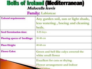 Cultural requirements: Any garden soil, sun or light shade,
less watering , hoeing and cleaning
beds.
Seed Germination time: 8-10 days
Planting spaces of Seedlings: 30-40 cm
Plant Height: 40-60 cm
Flower Color: Green and bell like calyx covered the
white small flower
Uses: Excellent for cuts or drying.
Flower arrangement and indoor
Mulucella leavis
Family: Labiateae
 